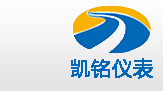 金湖日皮视频在线观看儀表有限公司LOGO